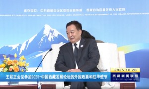 西藏举办重要活动,背后有一个关键词